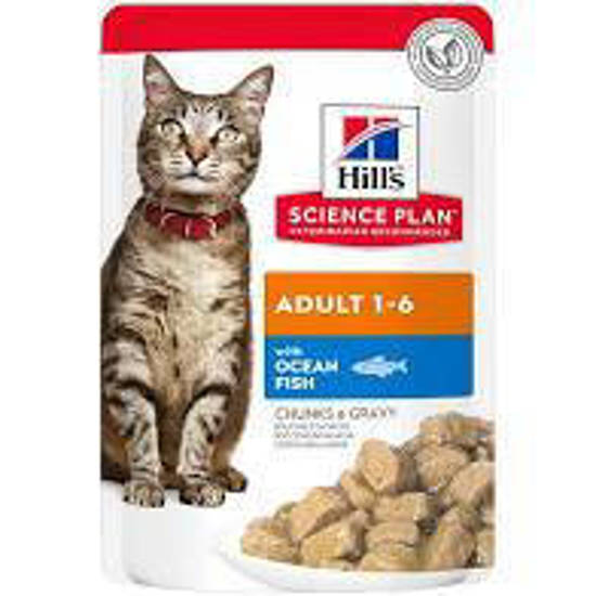 Picture of Hills Feline Mature Chunks in Gravy Ocean Fish 12 x 85g