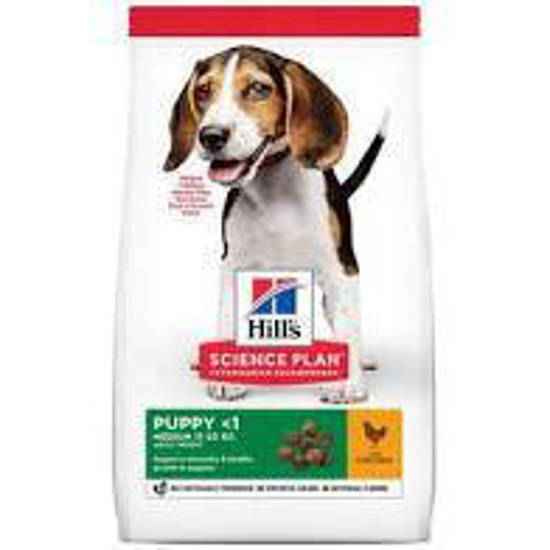 Picture of Hills Science Plan Puppy Medium with Chicken 14kg