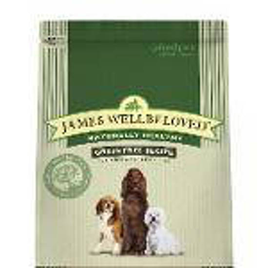 Picture of James Wellbeloved Turkey and Vegetable Kibble Grain Free Adult Dog 10kg