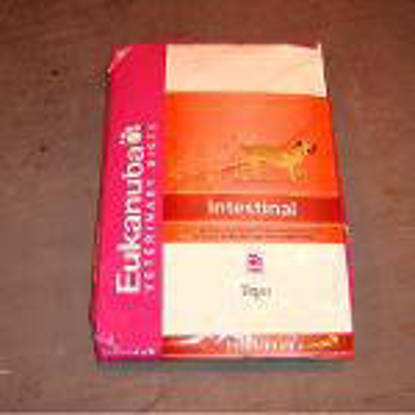 Picture of Eukanuba Intestinal Form Dog - 5kg