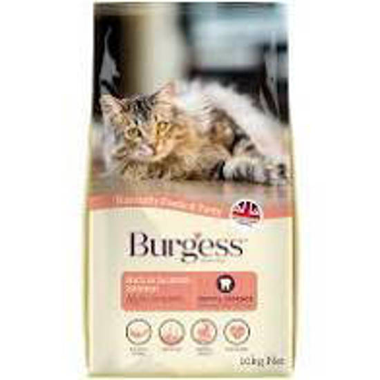 Picture of Burgess Cat Scottish Salmon 10kg